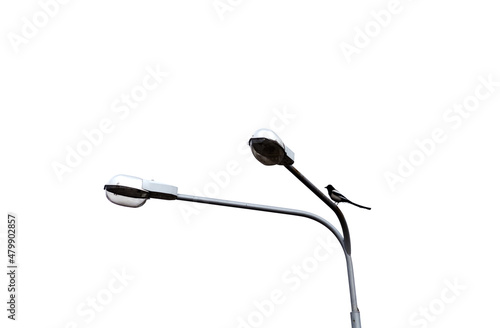 Street light or road lamp isolated on white background. Magpie bird sitting on the top of pillar.