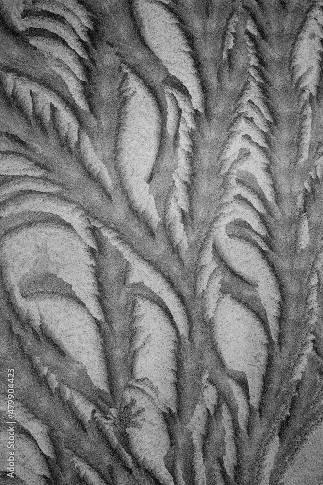 Eis Blumen auf einer Fensterscheibe Eis Blumen auf einer Fensterscheibe