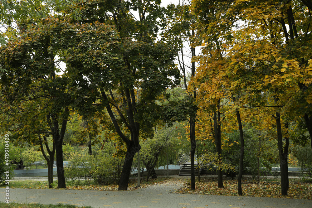 City park with paths in autumn day