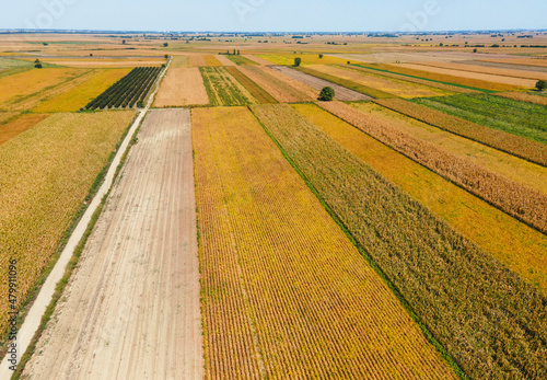 Field in the summer, shot from above © Tijana