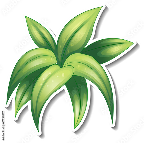 Tropical leaves brush sticker on white background