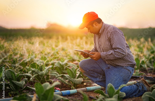 Smart farmer using tablet control for Irrigation system working watering agricultural crops fertilization to young plants.smart farmer,digital agriculture,technology agricultural concept.