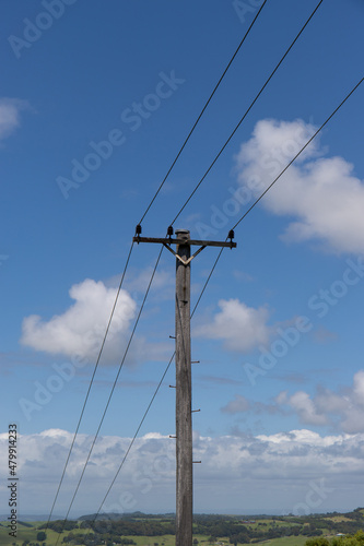 Wallpaper Mural A power line with blue sky. Torontodigital.ca