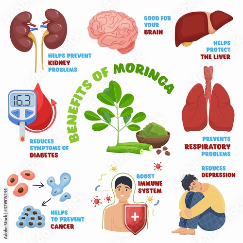 Moringa benefits, superfood for healthy eating. Editable isolated vector illustration.