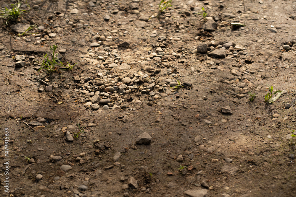 a lot of stones are lying on dry land in a chaotic manner a lot of stones are lying on dry land in a chaotic manner