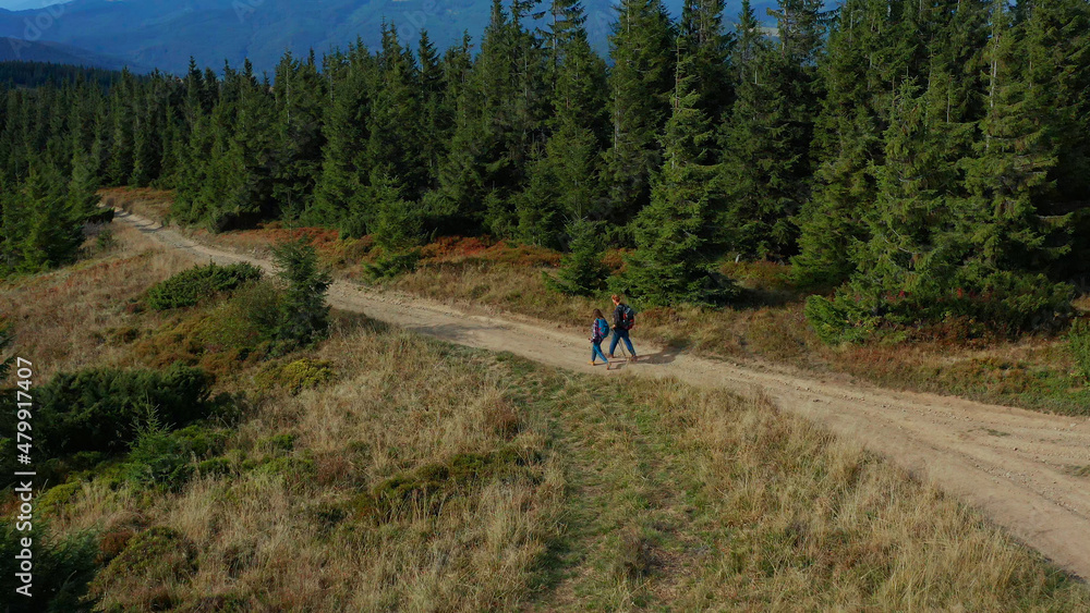 Aerial couple walking forest road view among green spruce trees spring day Aerial couple walking forest road view among green spruce trees spring day