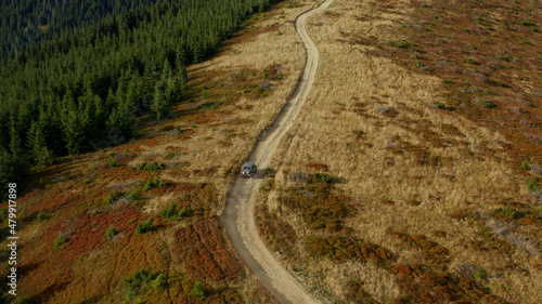 Mountain aerial car view going on small rocky road among green sequoia trees
