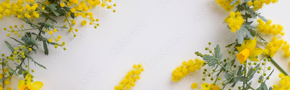 白い板に黄色いミモザの花びら ガーデニング用のフレーム素材 ヘッダー素材 Stock Photo Adobe Stock