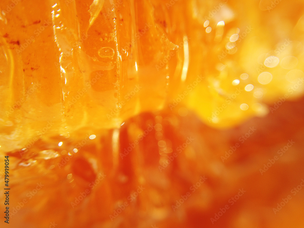 Macro Shot Honeycomb in Liquid Organic Honey Close Up selective focus. Golden fresh honey is pouring. Harvest beekeeping. Honey Dripping. Concept of healthy food Macro Shot Honeycomb in Liquid Organic Honey Close Up selective focus. Golden fresh honey is pouring. Harvest beekeeping. Honey Dripping. Concept of healthy food