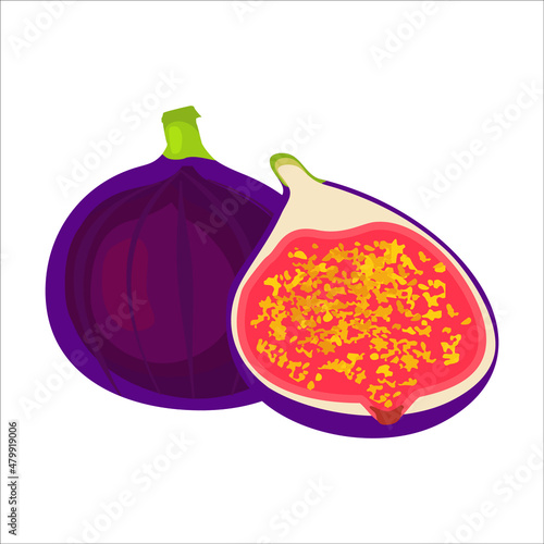 Figs are tropical fruits. Vector illustration isolated on white background. Isolate on a white background. Summer purple fruit. Pitted figs cut in half. Use for label design