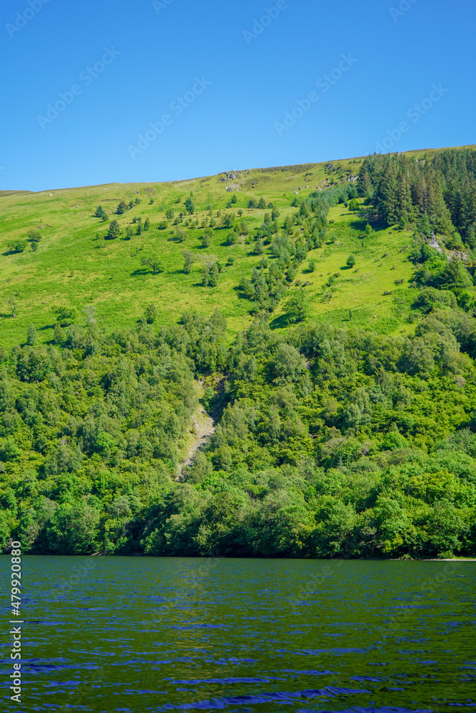 Beautiful lake and tree lined countryside in the summer Beautiful lake and tree lined countryside in the summer