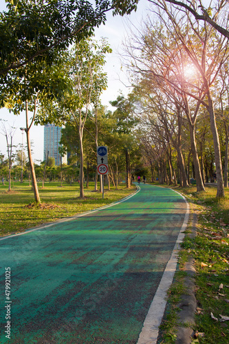 Wallpaper Mural Public park to relax and exercise in the city. Torontodigital.ca