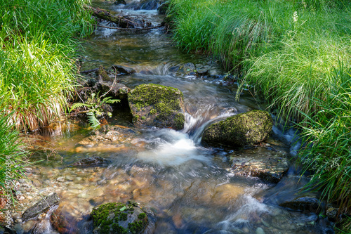 Fotografie Close up of a small stream or brook in in woodland