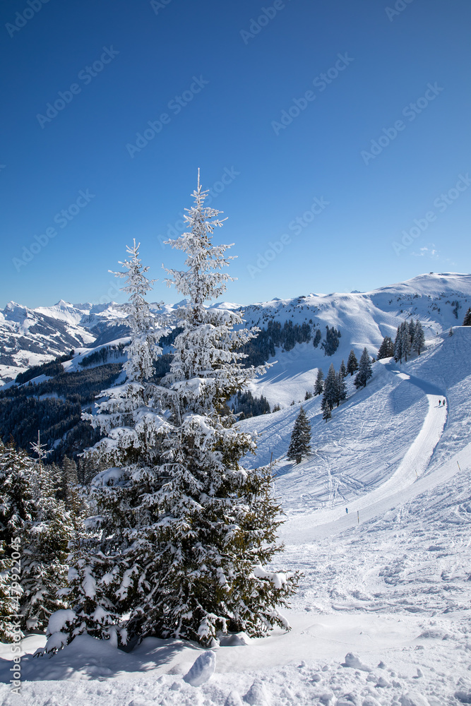 frozen winter landscape near Kitzbühel in Tyrol
