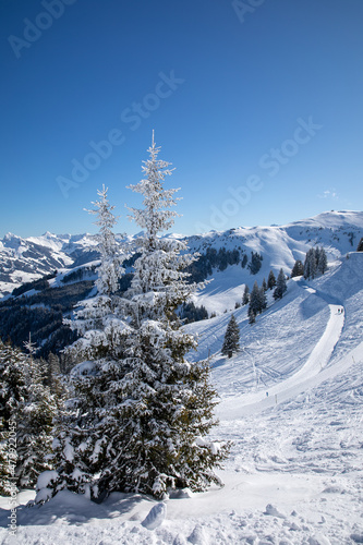 frozen winter landscape near Kitzbühel in Tyrol © UbjsP