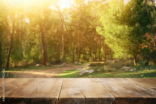 Empty rustic table in front of countryside background. product display and picnic concept