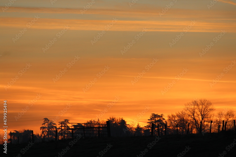 Naklejka premium lever de soleil, aube, clôture, horizon