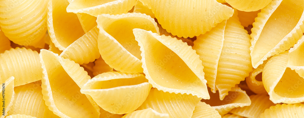 Raw conchiglie pasta. Food background. An ingredient for traditional Italian food. Closeup Raw conchiglie pasta. Food background. An ingredient for traditional Italian food. Closeup