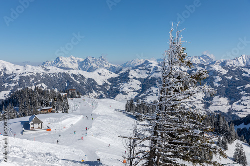 frozen winter landscape near Kitzbühel in Tyrol