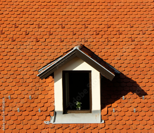 roof_MG_5411