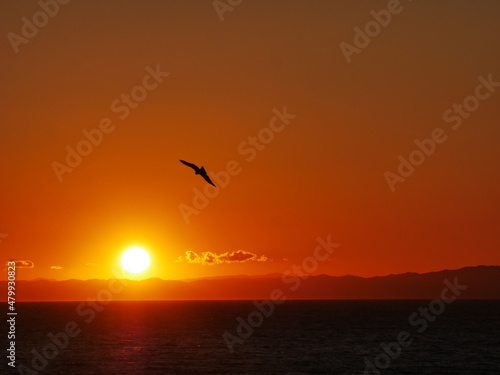 sunset in the sea © Nature Tom