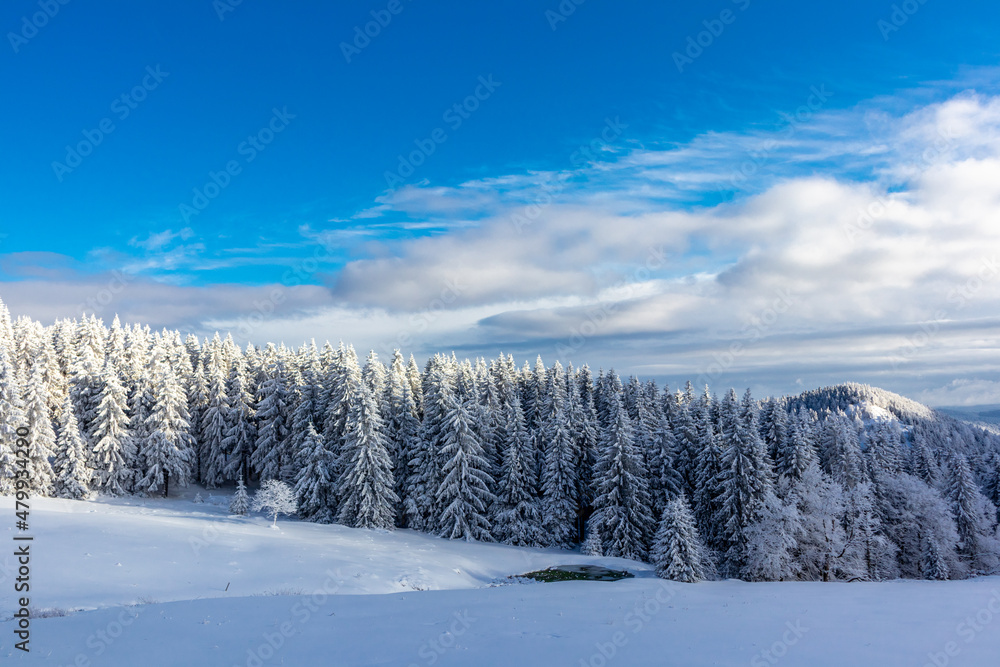 Winterwunderland Thüringer Wald am Schneekopf - Thüringen - Deutschland