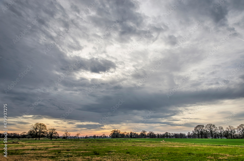 Dramatic sky over a flat landscape with fields, meadows and scattered trees and bushes near Hardenberg, The Netherlands