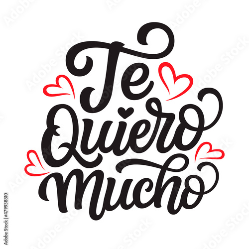 Spanish translation: I love you. Hand lettering text. Vector typography