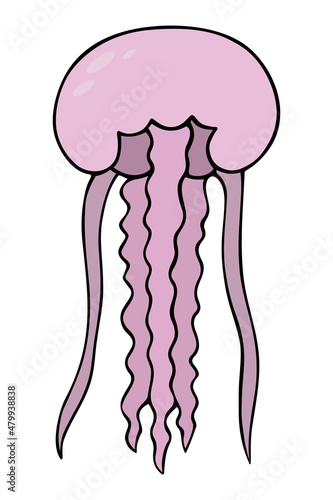 Jellyfish. Long-eared aurelia. Colored vector illustration. Cartoon style. Marine invertebrate with tentacles. Ocean dweller. Isolated background. Idea for web design.