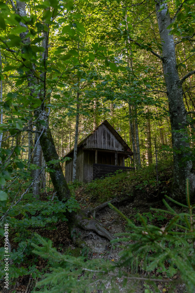 Typical Austrian houses in the middle of the forest. Typical Austrian houses in the middle of the forest.