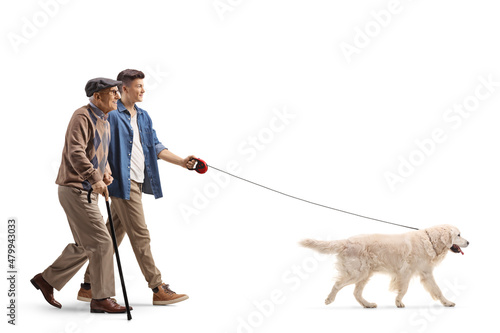 Young and elderly man walking with a retriever dog on a lead