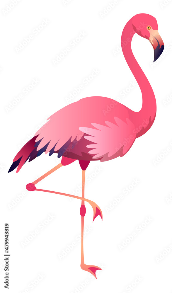 Fototapeta premium Standing flamingo. Summer vacation symbol. Pink bird