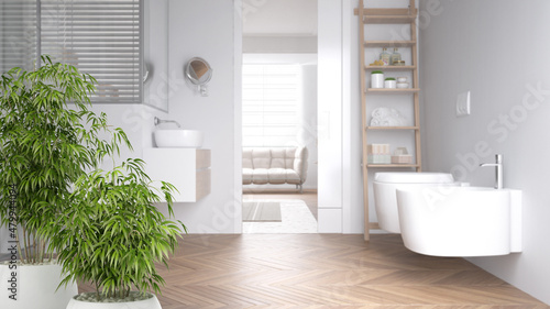 Zen interior with potted bamboo plant  natural interior design concept  minimalist bathroom  modern white contemporary architecture