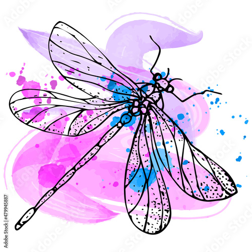 Watercolor background with a dragonfly without filling on a white background. Isolated object. Splashes of watercolor paints. Pastel shades of pink and blue.  Drawing by hand. Vector illustration