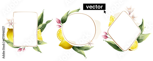 Hand-drawn watercolor painting lemon frame on white background. Vector illustration of green leaves, flowers, buds, and branches.