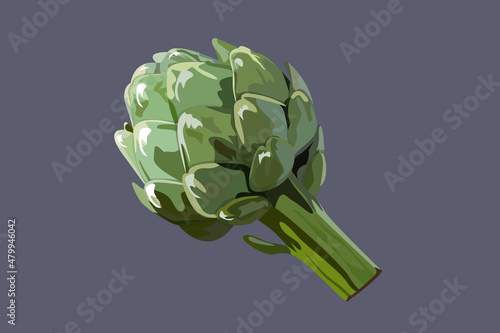 Green vegetable artichoke on a stem with a leaf.