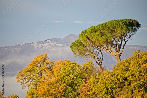 Beautiful View of the Hills of Umbria Italy in Winter with Fog