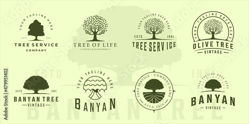 set of olive or banyan tree logo vintage vector illustration template icon graphic design. bundle collection retro green eco and plant environment nature sign or symbol for company with typography photo