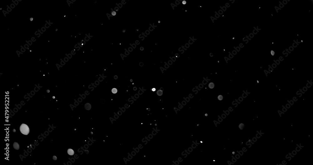 Natural Organic Dust Particles Floating On Black Background. Dynamic Dust Particles Randomly Float In Space. Shimmering Glittering Dust Particles With Bokeh. Slow motion on Black Background.