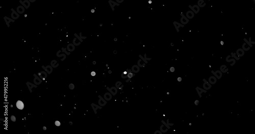 Natural Organic Dust Particles Floating On Black Background. Dynamic Dust Particles Randomly Float In Space. Shimmering Glittering Dust Particles With Bokeh. Slow motion on Black Background.