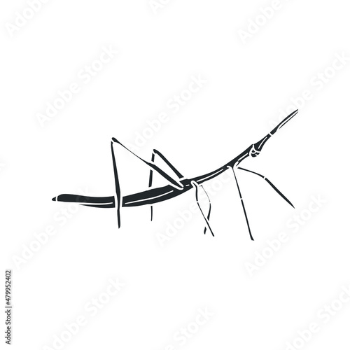 Stick Insect Icon Silhouette Illustration. Bug Invertebrate Vector Graphic Pictogram Symbol Clip Art. Doodle Sketch Black Sign.
