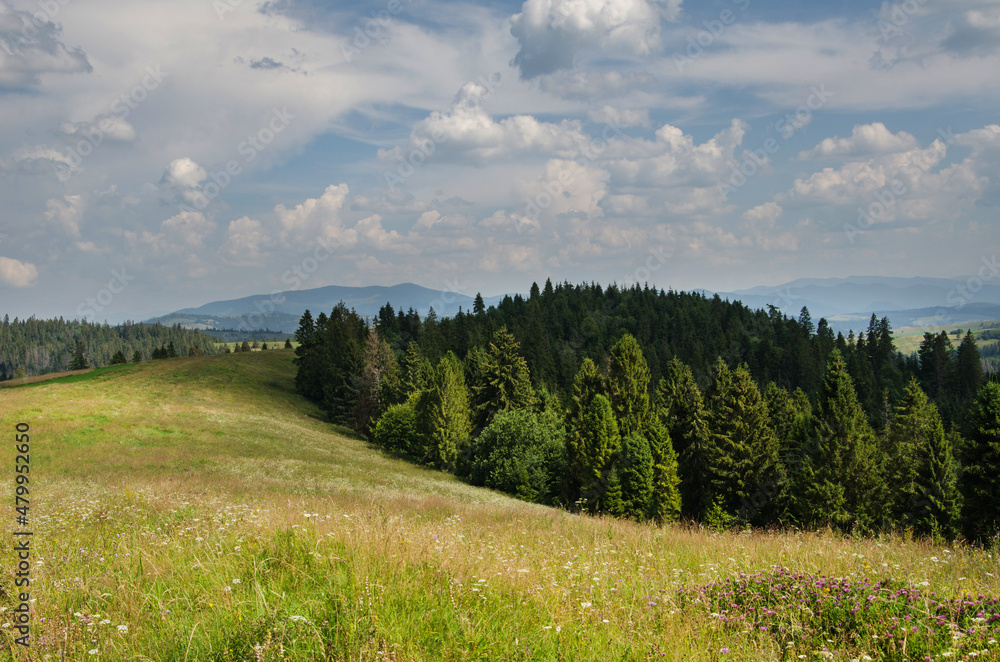 Mountain landscape. countryside landscape. beautiful views of the mountains in the summer. green trees and beautiful cloudy sky. Mountain landscape. countryside landscape. beautiful views of the mountains in the summer. green trees and beautiful cloudy sky.