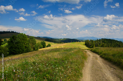 Hiking trail in the mountains highlands. Beautiful views of the mountains in the summer. Green trees and beautiful cloudy sky. © Svfotoroom