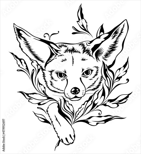 Image of the face of a fox walking in the grass