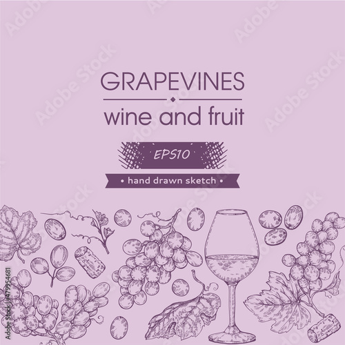 Collection of wine glass and bunches of grapes.