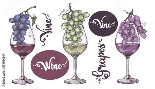 Collection of wine glasses with grapes and lettering vine, grapes. photo