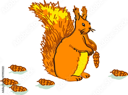 squirrel and cones illustration