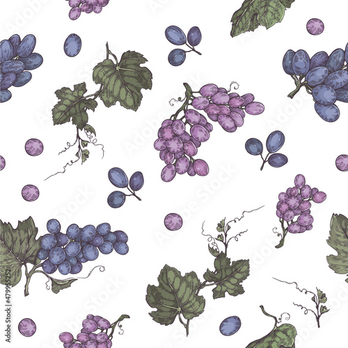 Seamless pattern with bunches of grapes.
