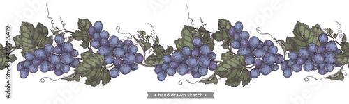 Bunch of grapes on the white background.