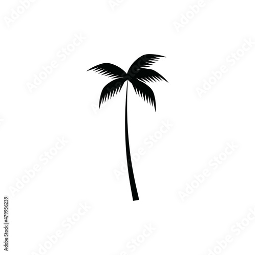 coconut tree icon vector illustration